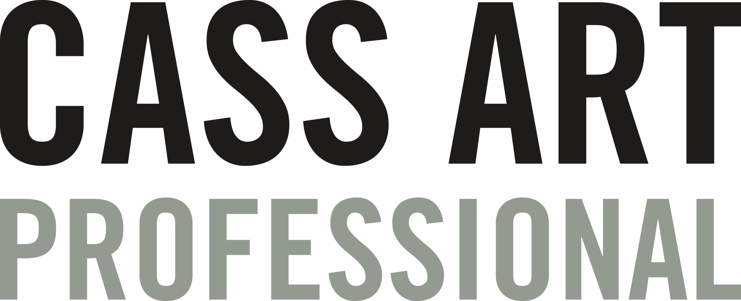 Cass Art Professional